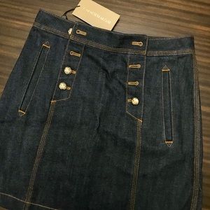 Denim Burberry Skirt